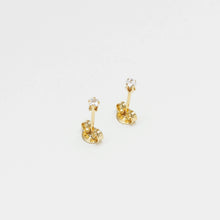 Cargar imagen en el visor de la galería, Caracol + Dije + Topos + Regalo Topos